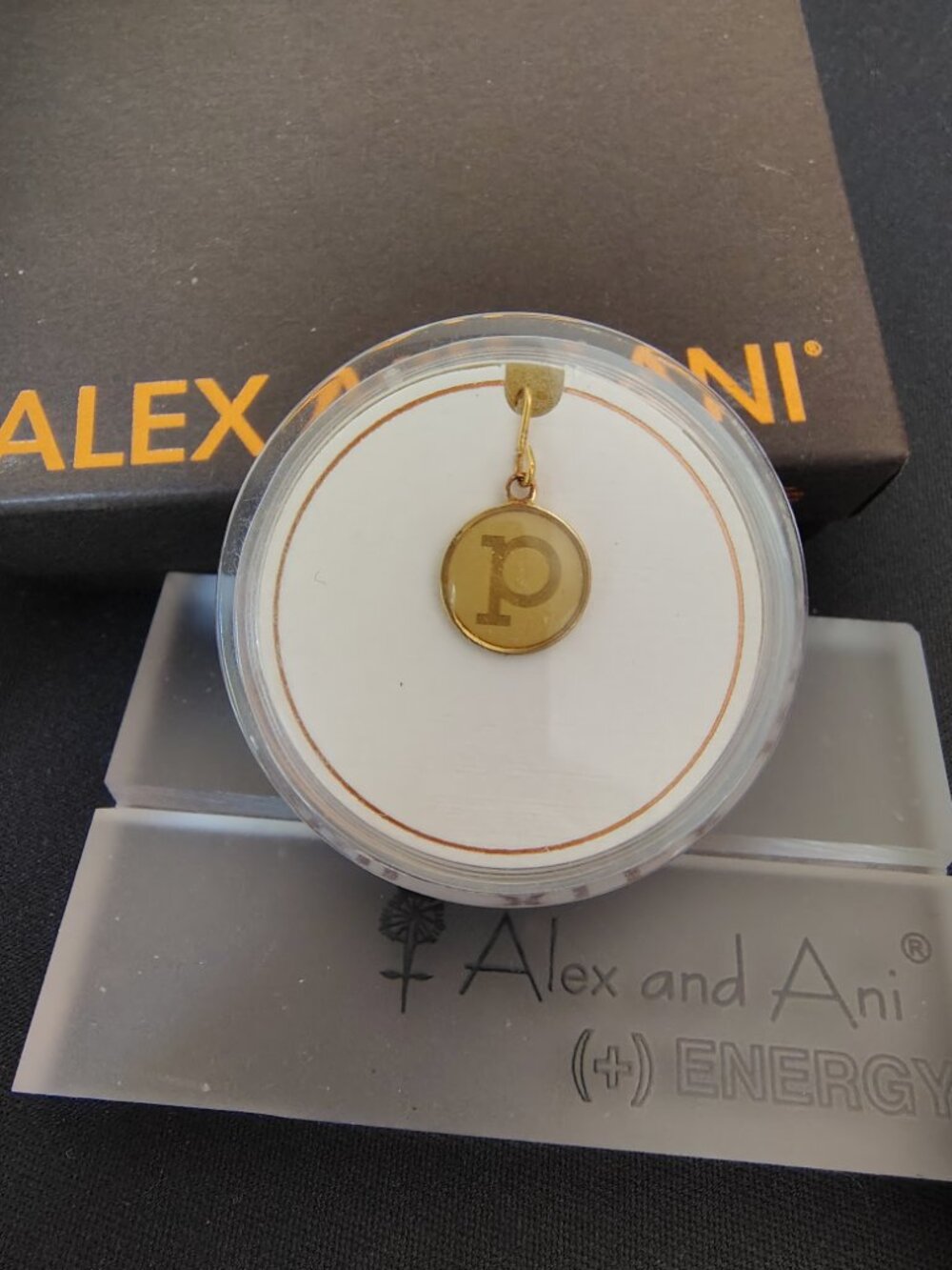 Alex and Ani 14kt Sterling Silver Initial P Charm 888